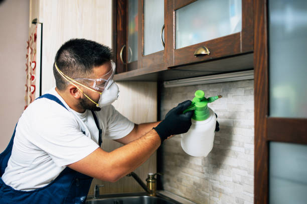 Best Mosquito Control Services  in Muhlenberg Rk, PA