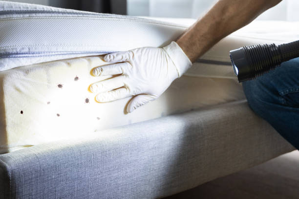 Best Cockroach Control Services  in Muhlenberg Rk, PA