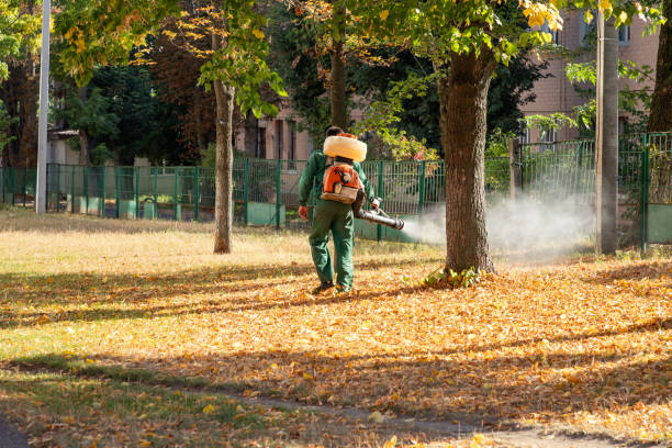 Best Flea Control Services  in Muhlenberg Rk, PA